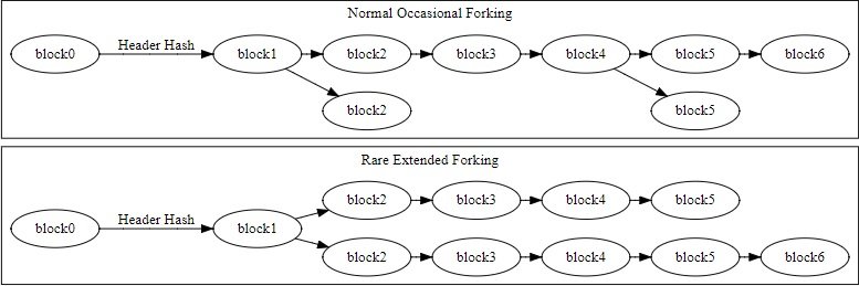 Blockchain Fork